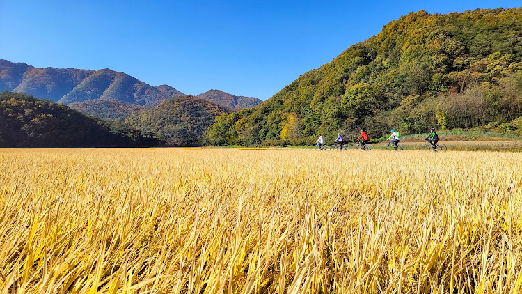 Saddle Skedaddle's new adventure cycling holiday in South Korea.