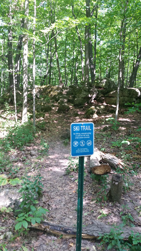 Ski Trail Path From Indian Effigy Trail 