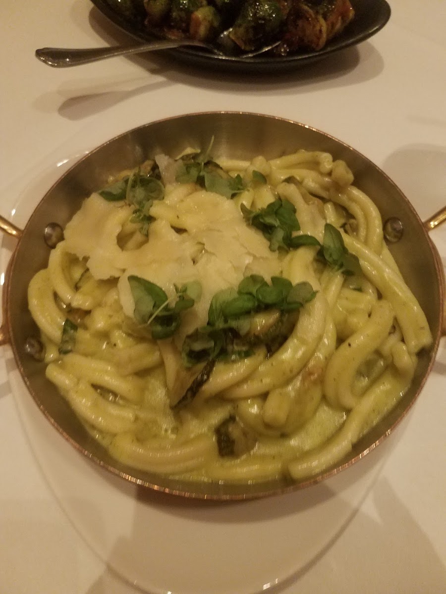 GF pasta with zucchini sauce