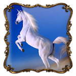 Horses Photo Frames Apk