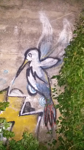 Bird Graffiti