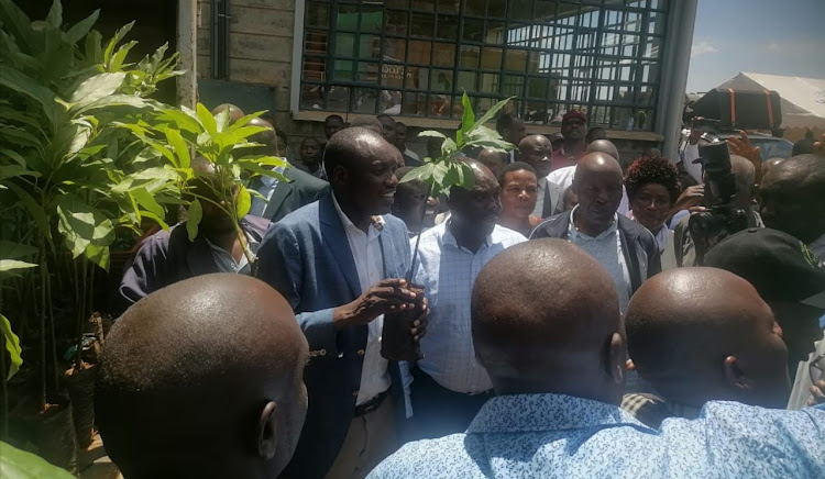 Kisii Governor Simba Arati during distribution of hass avocado variety seedlings to farmers in Kisii on Monday, April 22, 2024.