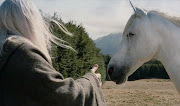 A scene from 'The Lord of the Rings', where we meet Shadowfax, the lord of all horses and Gandalf's friend.