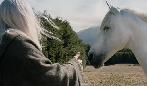 A scene from 'The Lord of the Rings', where we meet Shadowfax, the lord of all horses and Gandalf's friend.