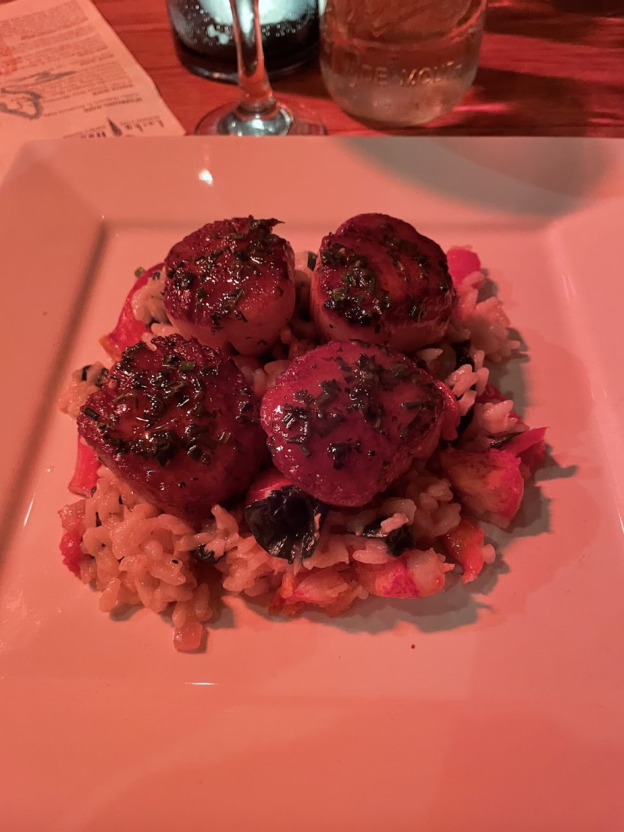 Scallops with lobster risotto