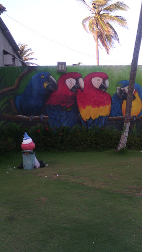 Mural Guacamayas