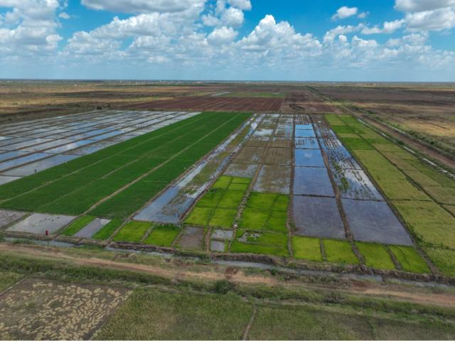 A bird's eye view of Tana Irrigation Scheme