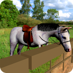 Cute Horse Pony Simulator Ride Apk