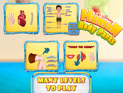 Kids Human Body Parts: Learning Game Screenshot