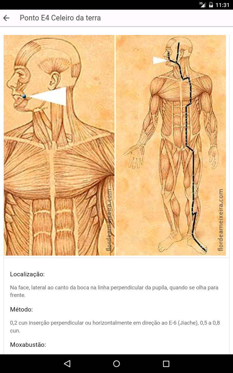 Android application Guia dos Pontos de Acupuntura screenshort
