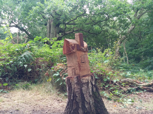Tree house Carving 