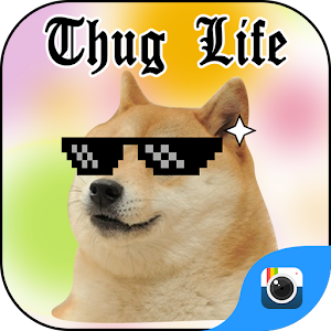 Download Z CAMERA THUG LIFE STICKER For PC Windows and Mac