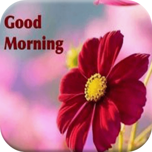 Download Good Morning Quotes For PC Windows and Mac