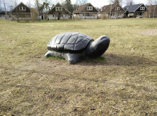 Turtle Statue
