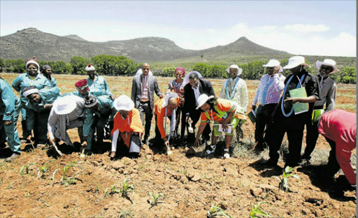 CLOSING THE GAP: Rural Development and Land Reform Minister Gugile Nkwinti has handed over a section of Gallawater Farm near Komani to 102 beneficiaries Picture: Thembile Sgqolana