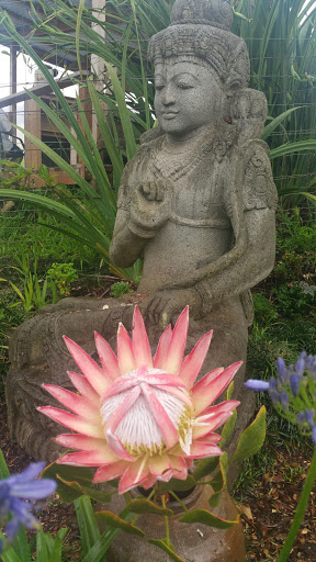 Buddha At Ali'i Kula Lavender Farm