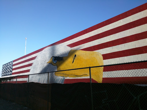 Eagle Mural