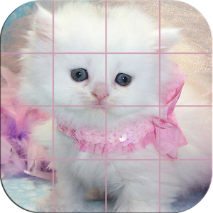 Cheats Tile Puzzle - Cats