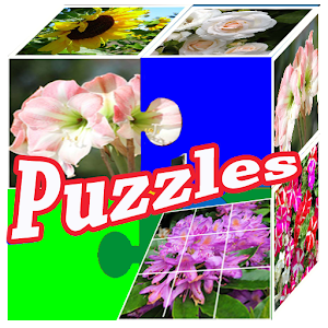 Download Puzzles. Plants. Flowers. Logic games. For PC Windows and Mac