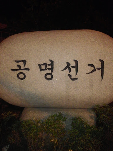 공명선거