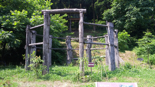 桜町遺跡 環状木柱列