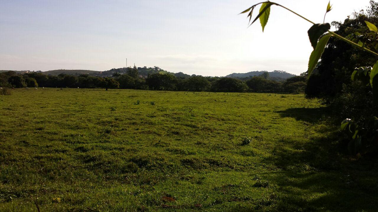 Fazendas à venda Taruaçu