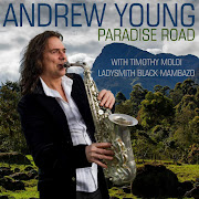 British saxophonist Andrew Young  has remixed Paradise Road by female group Joy featuring vocalist Timothy Moloi and Ladysmith Black Mambazo.