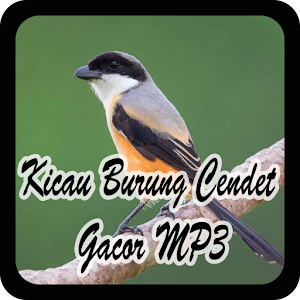 Download Kicau Burung Cendet Gacor MP3 For PC Windows and Mac
