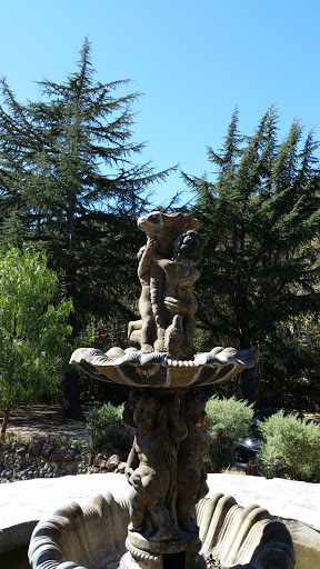 Elliston Vineyards Fountain 