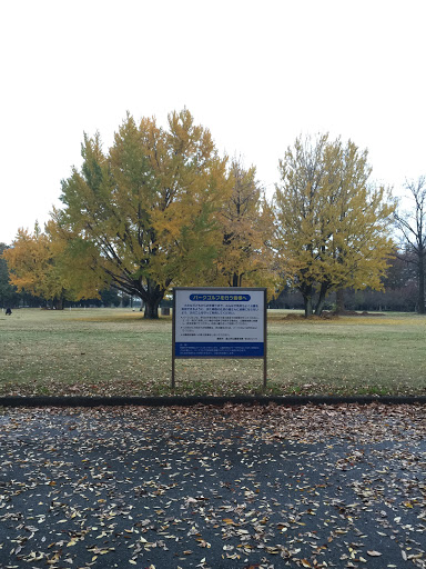 馬場記念公園 パークゴルフ場