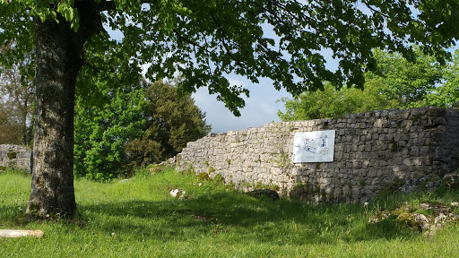 Burgruine Frohburg Plan