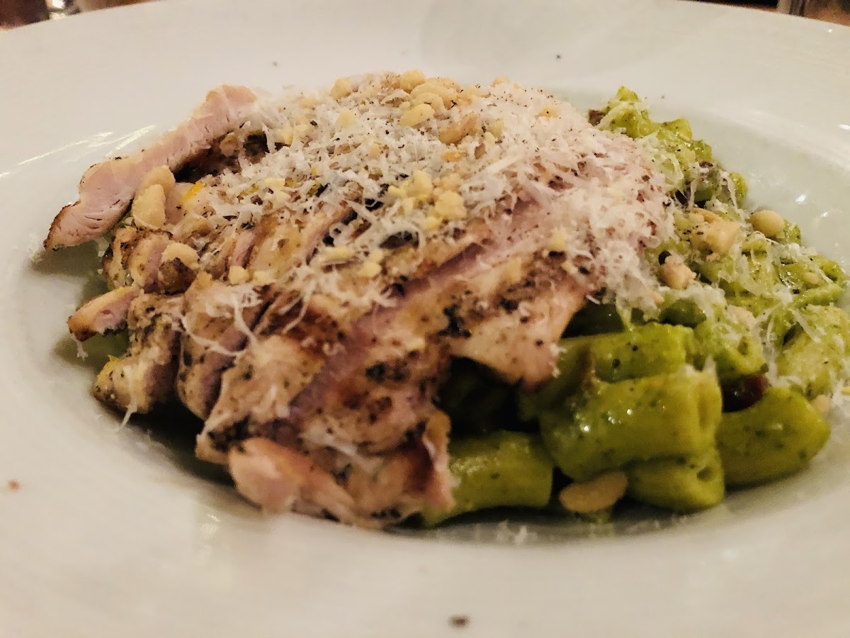 Basil pesto with grilled chicken, and gluten free pasta.