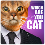 Which cat are you scanner joke Apk