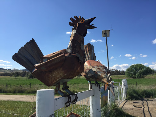 Chickens on a Fence