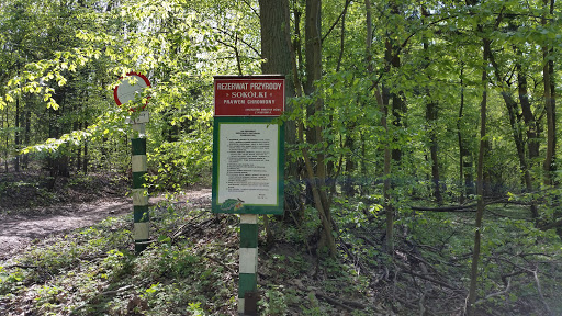 Rezerwat Przyrody Sokółki