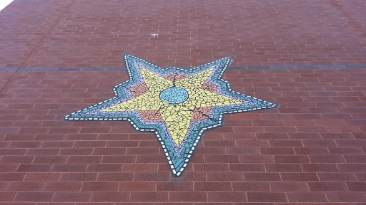 Star Mural