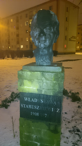 Pomnik Władysław Stareszkiewicz