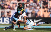 South Africa's Lukhanyo Am is tackled by Argentina's Agustin Creevy (L) and Tomas Lavanini during the Rugby Championship match at Malvinas Argentinas Stadium in Mendoza, on August 25, 2018. 