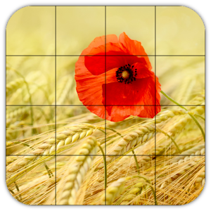 Download Tile Puzzles · Fields For PC Windows and Mac