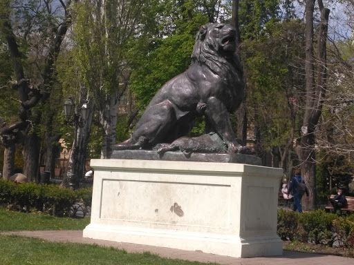 Lion in the Park