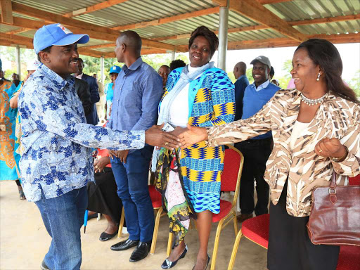 Wiper leader Kalonzo Musyoka drums up support for Kitui West MP candidate Edith Nyenze, March 17, 2018. /