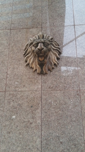 Lion Face