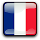 Download French Grammar Pro For PC Windows and Mac 1.4.4