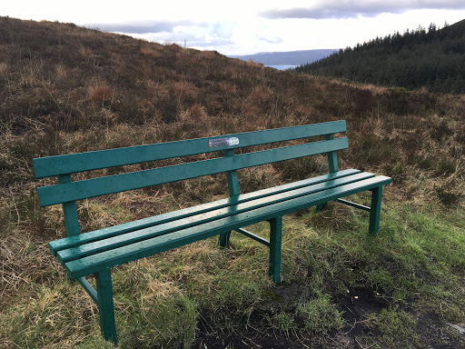 Eugene Harrington‘s Bench 