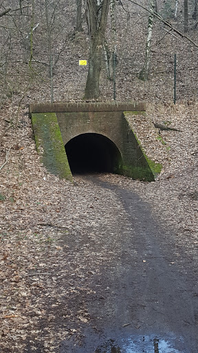 Jeeptunnel Underneath Railroad