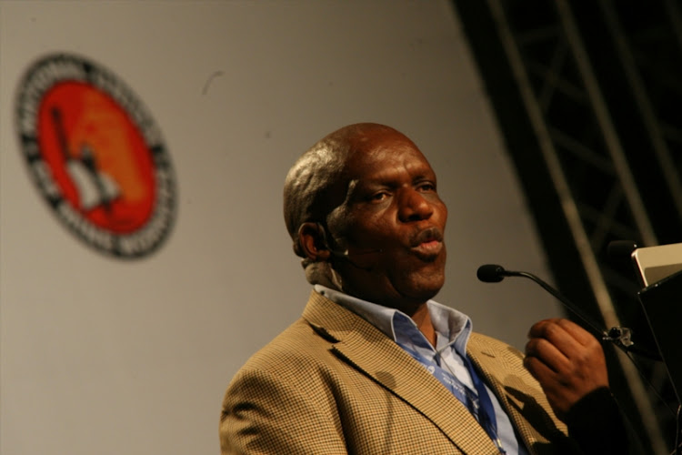 Minister of Agriculture Senzeni Zokwana. File photo.
