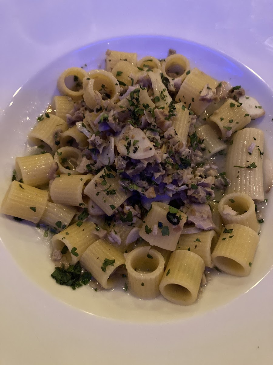 Gluten free pasta with white clam sauce