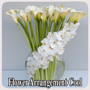Download Flower Arrangement Cool For PC Windows and Mac