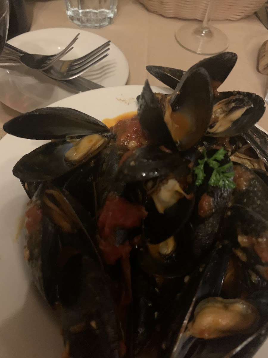 Mussels in red appetizer