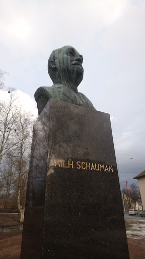 Wilhelm Schauman